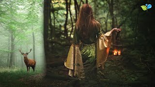 Enchanted Celtic Music  432Hz Nature Music  Magical Forest Sounds [upl. by Mackay]