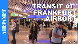 TRANSIT WALK AT FRANKFURT Airport FRA Terminal 1  Connection Flight Transfer Arriving amp Departing [upl. by Weber]